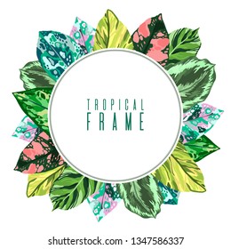 Frame Tropical leaves diffenbachia collection. Vector isolated elements on the white background. Leaf exotic motley color. Evergreen plant.