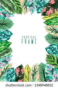 Frame Tropical leaves diffenbachia collection. Vector isolated elements on the white background. Leaf exotic motley color. Evergreen plant.