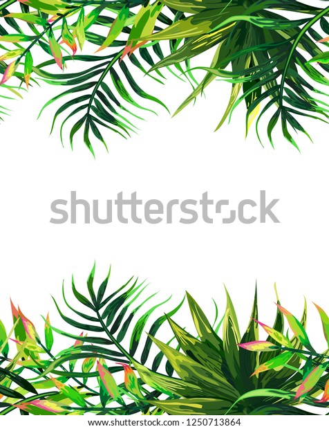 Frame Tropical Leaves Floral Design Background Stock Vector Royalty Free Shutterstock