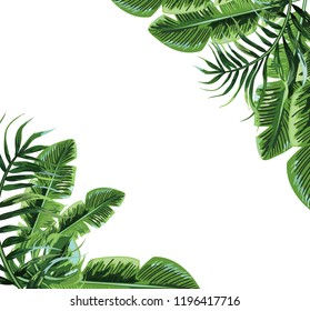 Frame with tropical leaves. Hand drawn branches and leaves of tropical plants.