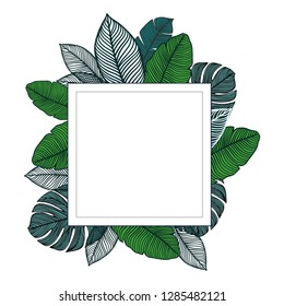 frame with tropical leaves. Set leaf. Jungle background. Hand draw watercolor vector illustration