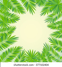 frame of tropical palm leaves vector illustration