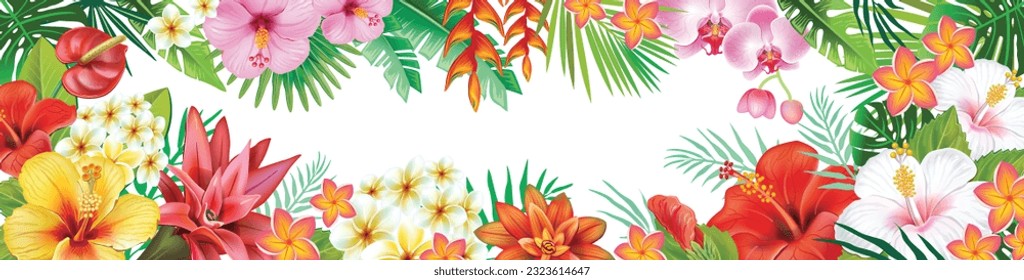 Frame from tropical plants and exotic flowers, White background