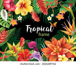 Frame with tropical plants and flowers 