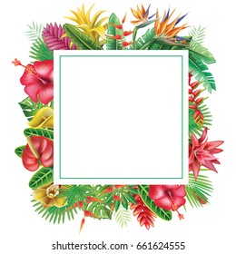 Frame from tropical plants and flowers