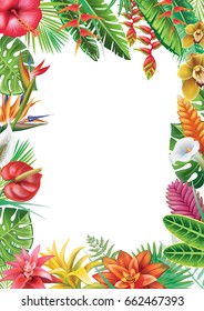 Frame From Tropical Plants And Flowers