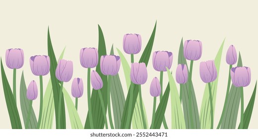 Frame tulip flowers for spring or summer holiday, Tulip flower template design.