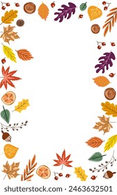 Frame of various types of dry leaves in autumn on white