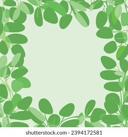 Frame vectors drawn with natural elements