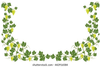 frame with vine and leaves on white background