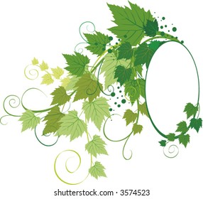 Frame With Vine - Vector