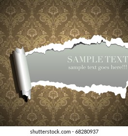 Frame wallpaper torn, vintage baroque background