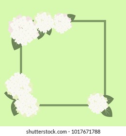 Frame with white delicate hydrangeas on a green background. Template for a wedding card with space for text, album. Vector illustration.