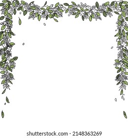 Frame white flowers and leaves, concept romantic, spring, web banners, covers, screensavers, summer, natural, wedding, summer