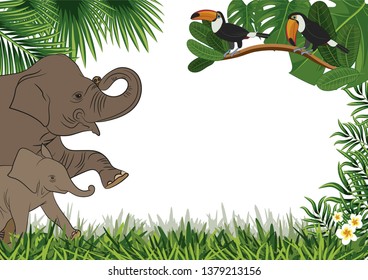 Frame. Wild animals. Elephant and parrots. Exotic herbs isolated on white. Border. Tropical card. Exotic background with leaves and flowers. Vector illustration.