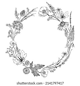 Frame Of Wildflower, Circle, Pencil Drawing, Vector