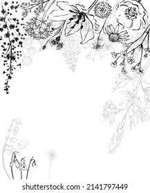 frame of wildflower, pencil drawing, vector