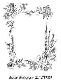 frame of wildflower, rectangular,pencil drawing, vector