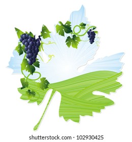 frame as wine leaf with vine grape, green field and blue sky