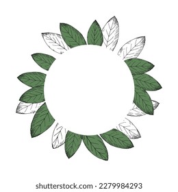 Frame wreath with bay leaf. Background with spices from bay tree. Illustration symbol of victory and fragrant culinary spice. Hand drawing. Round shape design element. Vector
