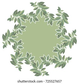 frame a wreath of branches with green foliage