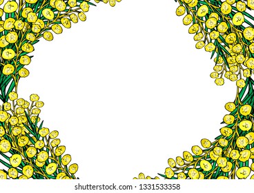 Frame of yellow flowers of mimosa on a white background.