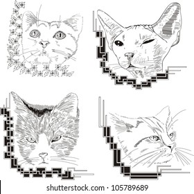 Framed cat sketches. Set of black and white vector illustrations.