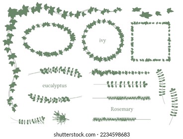 Framed set of vector illustrations of leaves (silhouette, ivy, eucalyptus, rosemary)