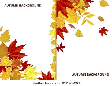 Frames and backgrounds with leaves, autumn themed decorative empty banners or posters with copyscape. Sale or clearance, fall season promo marketing flyer with ornaments. Vector in flat style