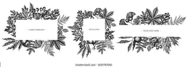 Frames with black and white fern, dog rose, rowan, ginkgo, maple, oak, horse chestnut, chestnut, hawthorn