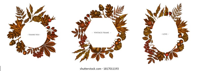 Frames with colored fern, dog rose, rowan, ginkgo, maple, oak, horse chestnut, chestnut, hawthorn