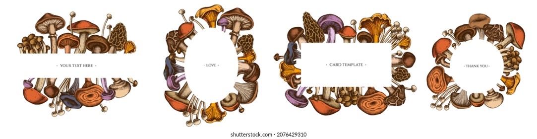 Frames with colored oyster mushroom, champignon, honey agaric, shiitake, porcini, morel mushroom, chanterelle, aspen mushroom, enoki , shimeji, black chanterelle, red pine mushroom, portobello, blewit