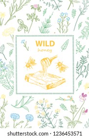 Frames with honey bee, hive, herbs and wild flowers.