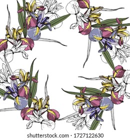 Frames from iris elements. Isolated over white background. Vector graphics.