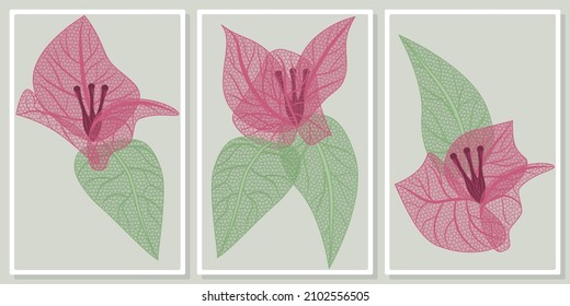 Frames with openwork bougainvillea flowers wall art vector set - for wall framed prints, canvas prints, poster, home decor svg
