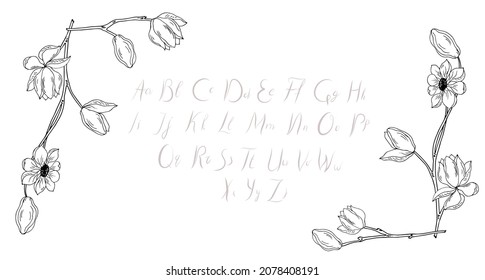 Marcos, marcos de plantas, ramas, hojas. Lugar para texto, pancarta, borde. Ilustración vectorial.