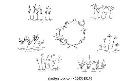 Frames with plants, a wreath of branches. Sketch. Vector illustration.