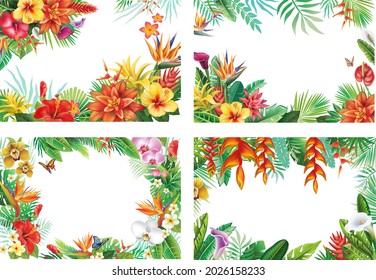 Frames and with tropical plants and flowers