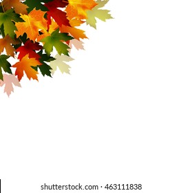 Framework from autumn leaves on a white background