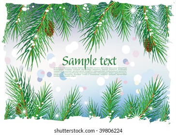Framework from pine branches