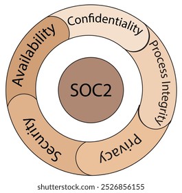 A estrutura da auditoria de processo SOC 2 na paleta de tons de pele - Ilustração de tecnologia - Vetor, ícone 