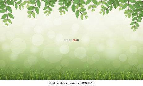 Framing of green leaves and green natural area background with abstract light blurred bokeh. Vector illustration.