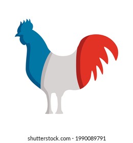 france flag colors in rooster