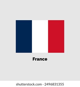 Ilustración vectorial de diseño de la bandera de Francia sobre un fondo gris para gráfico y Diseño web.