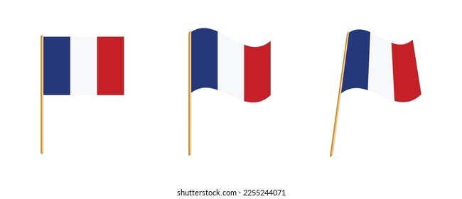 France flag vector vector illustration set