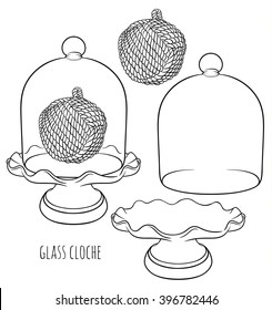 France Glass Cloche for food, flower or home decor with decorative rope knot and stand