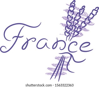 France lavender sketch with color pencil grunge vector illustration