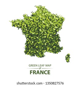 france map made up of green leaf on white background vector illustration of a forest is conceptual of the global green environmental issues worldwide