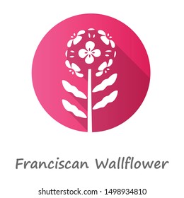 Franciscan wallflower pink flat design long shadow glyph icon. Garden flowering plant with name. Erysimum franciscanum inflorescence. Blooming wildflower, weed. Vector silhouette illustration