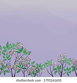 Frangi Pani Baum mit Blume auf Hintergrund
